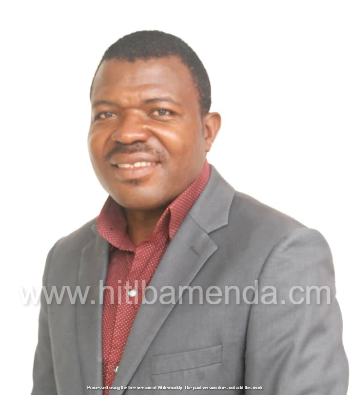 HITL Bamenda