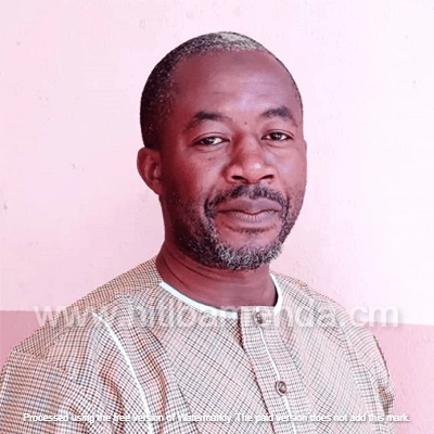 HITL Bamenda